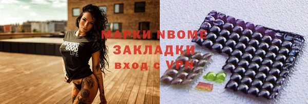 индика Переславль-Залесский