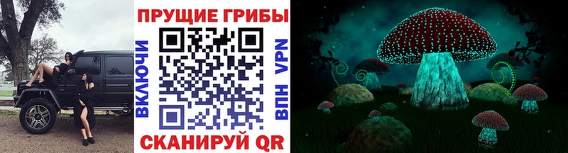 Псилоцибиновые грибы MAGIC MUSHROOMS  это клад  Тара 