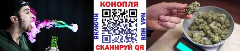Бошки Шишки индика Тара